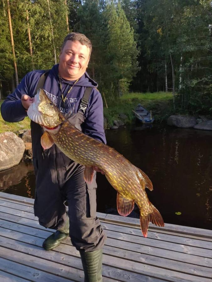 Viihtyisae Hirsimoekki Jaerven Rannalla Siikainen Extérieur photo